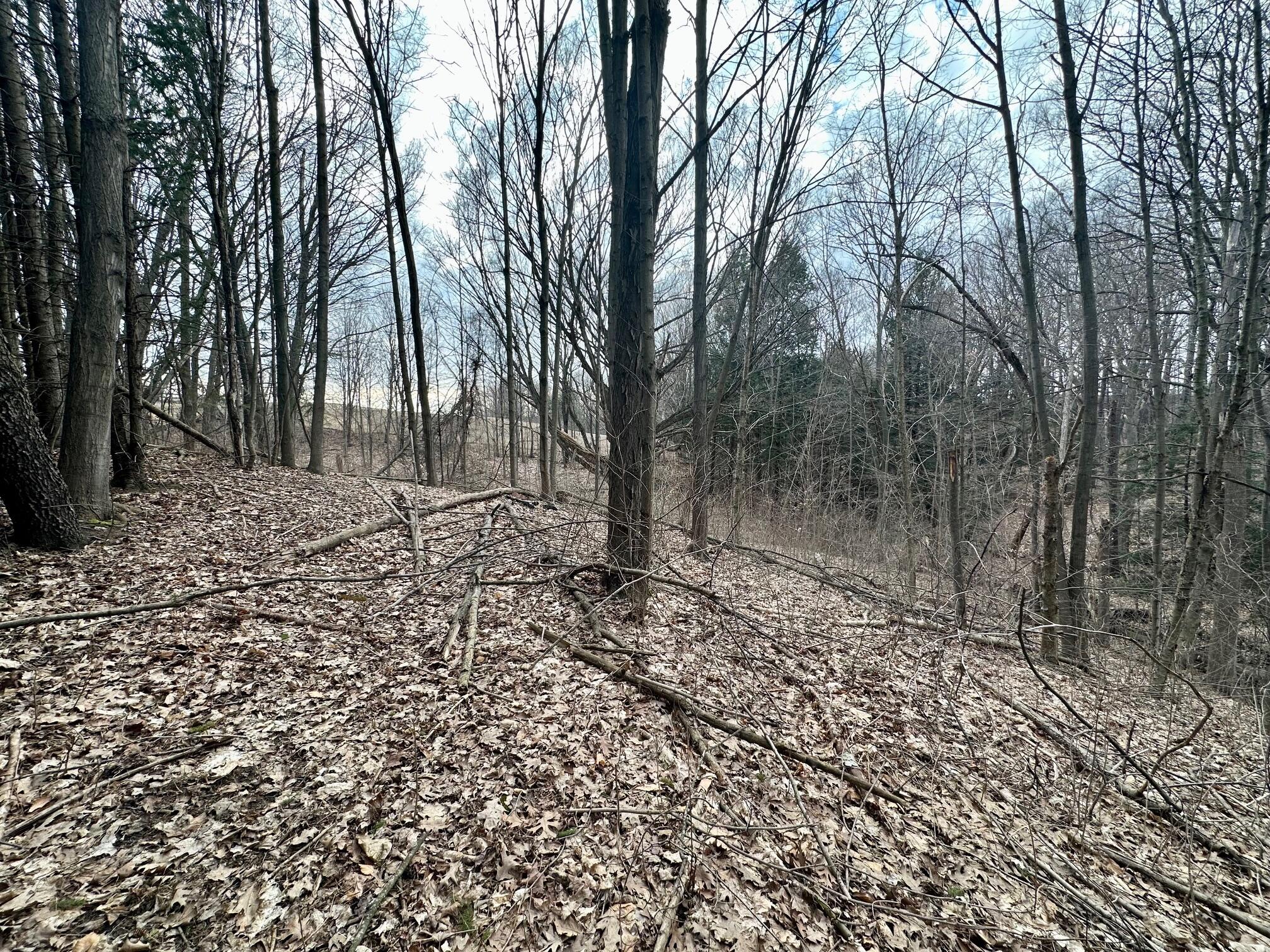 V/l North Beaune Road Ludington, MI 49431 - Photo 9 of 11 IMG_6667