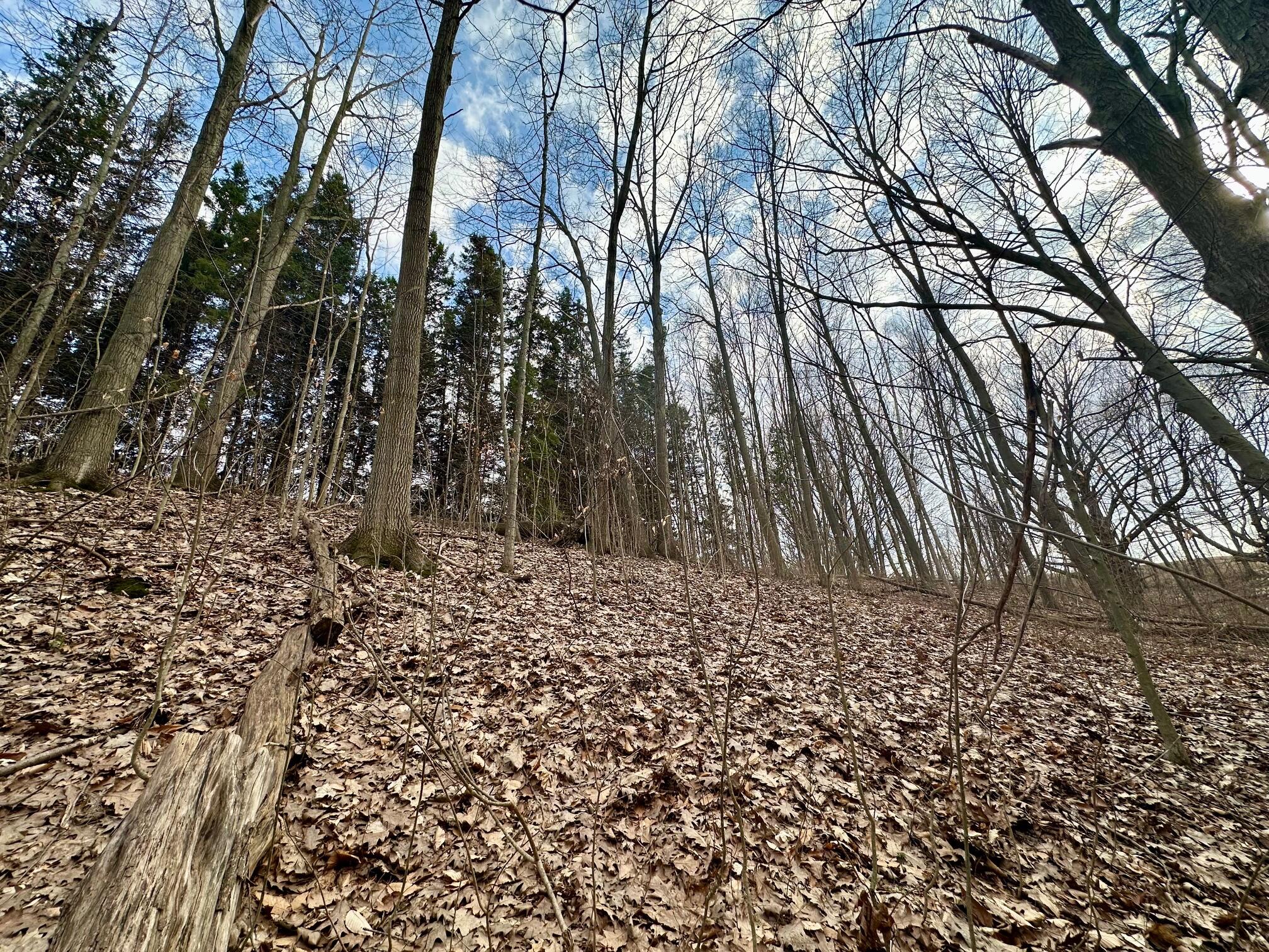 V/l North Beaune Road Ludington, MI 49431 - Photo 10 of 11 IMG_6665