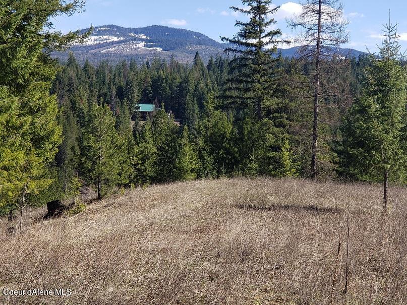 1 Pleasant Valley Loop Naples, ID 83847 - Photo 1 of 1 Pleasant Valley Loop Parcel A pic 1