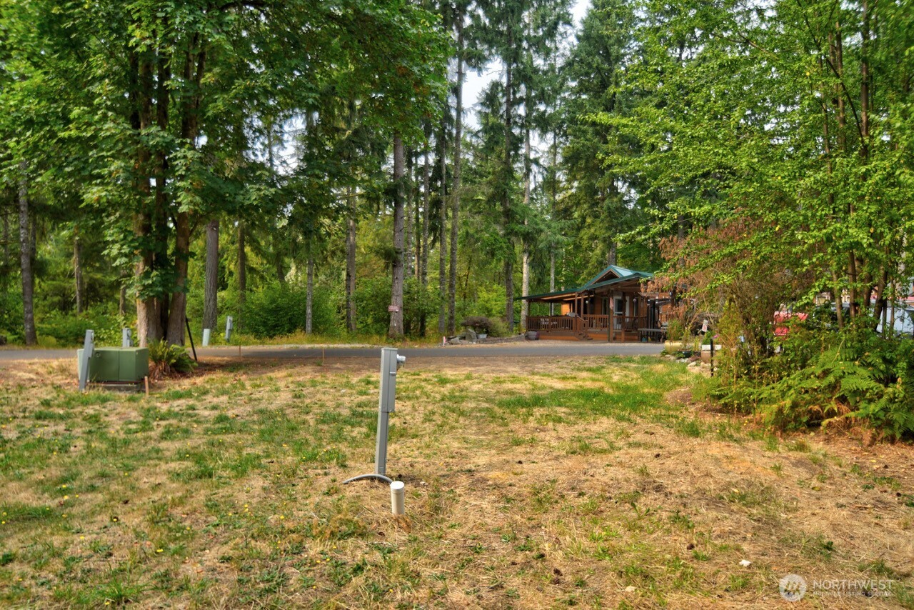 1546 Reservation Road Southeast, Unit 136 Olympia, WA 98513 - Photo 4 of 18 a view of a yard with trees