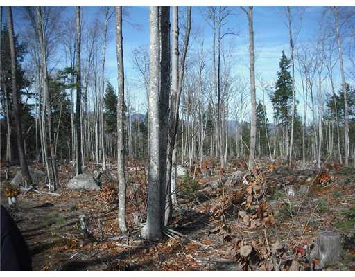 H Haley Town Road Fryeburg, ME 04037 - Photo 5 of 11 Land/Lot.