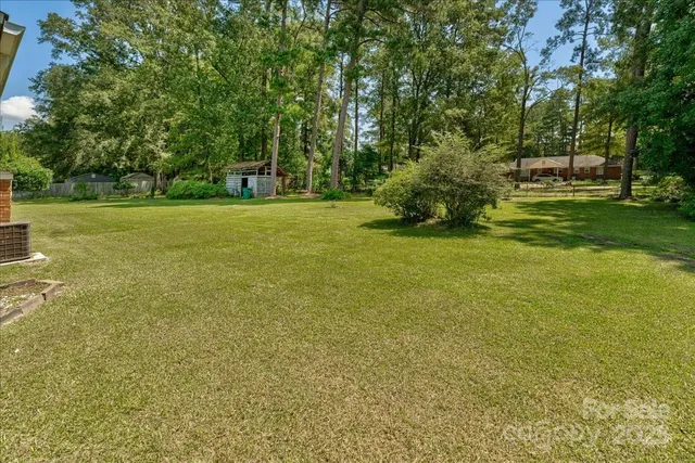 a view of backyard with green space