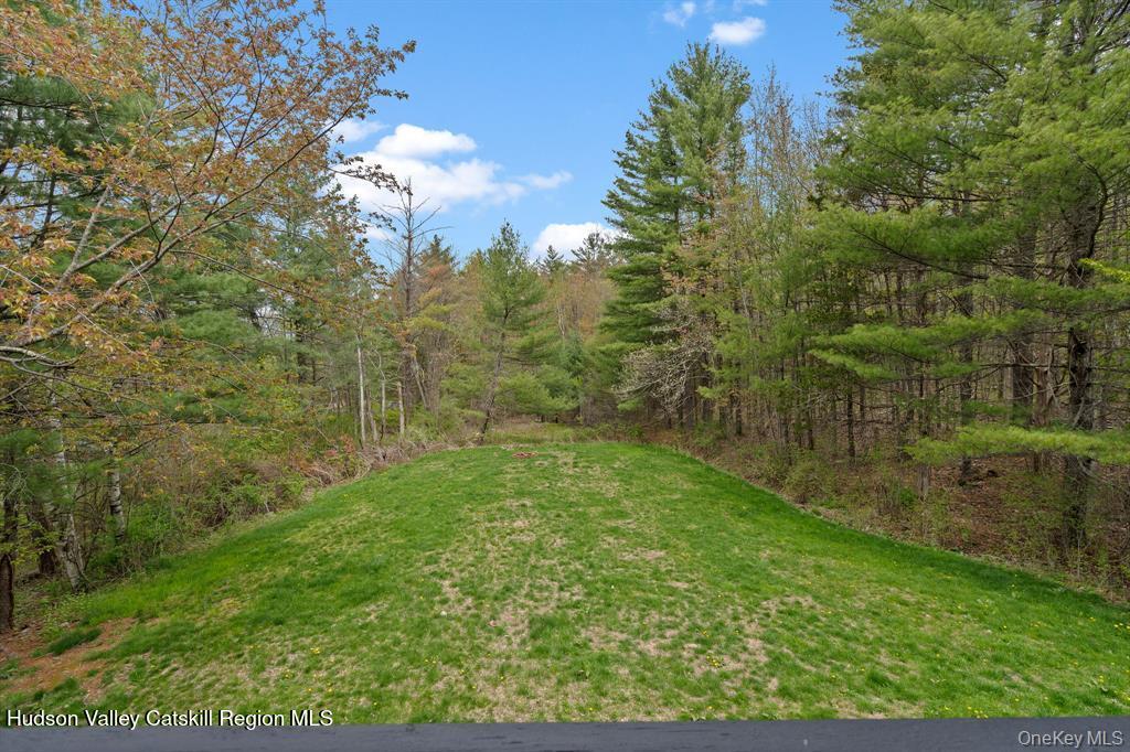 2 Mountain Valley Road Boiceville, NY 12412 - Photo 38 of 42 a view of a garden