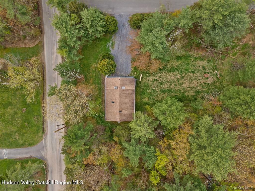 2 Mountain Valley Road Boiceville, NY 12412 - Photo 42 of 42 a bird view of a garden