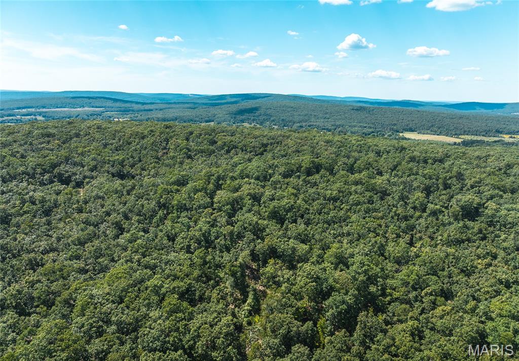 1 Buck Mountain Road Ironton, MO 63650 - Photo 5 of 12