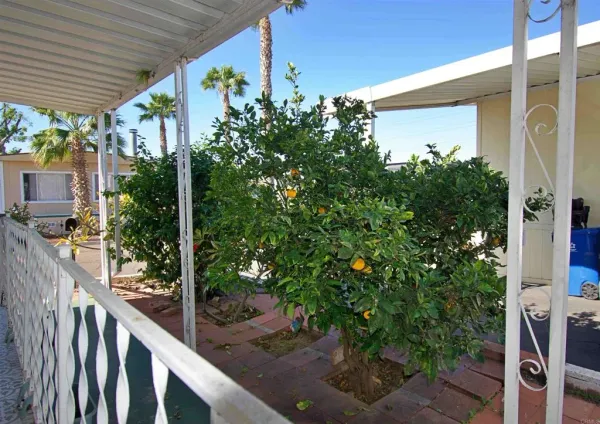 a view of a patio with chairs and flower plants
