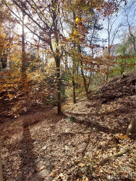 3717 Pfost Avenue Prince George, VA 23875 - Photo 30 of 39 a view of a tree in a yard
