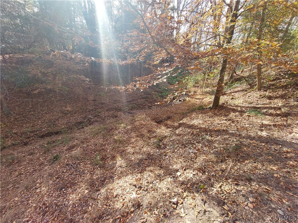 3717 Pfost Avenue Prince George, VA 23875 - Photo 31 of 39 a view of a yard with large trees