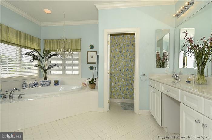 601 Hawkshead Road Lutherville-Timonium, MD 21093 - Photo 4 of 30 MASTER BATH