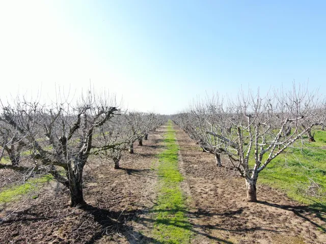 $1,500,000 | 12255 East 8 Mile Road, Stockton, CA 95212