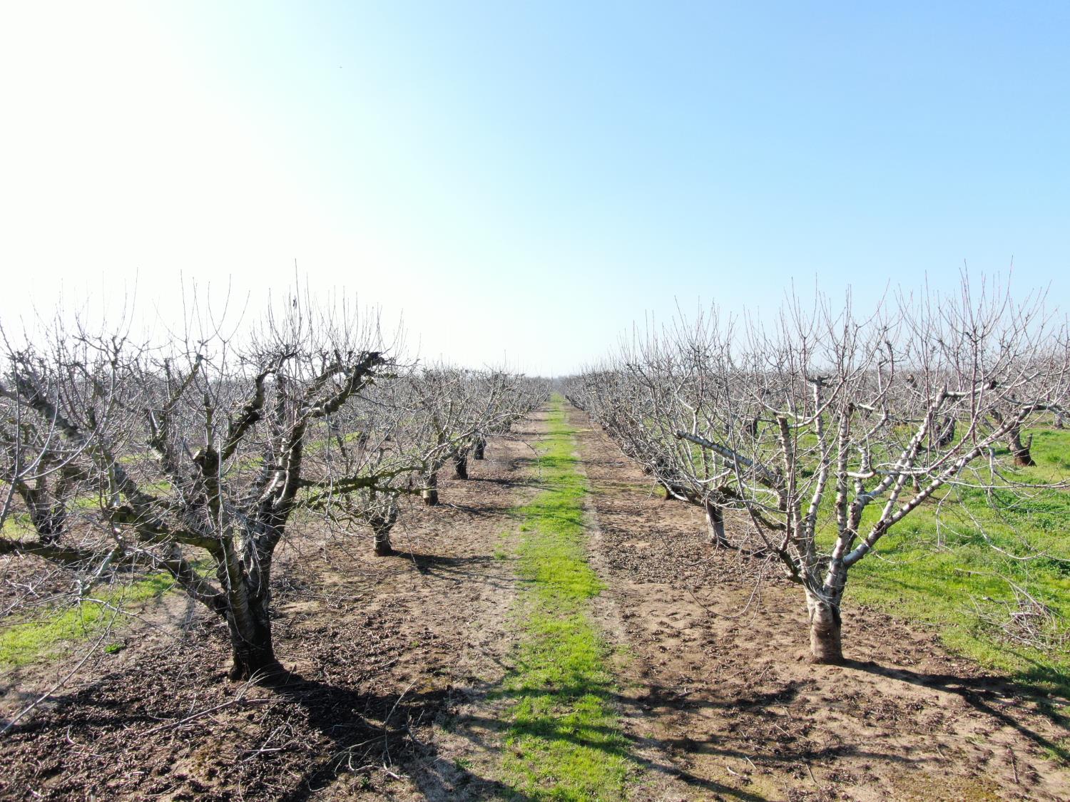 12255 East 8 Mile Road Stockton, CA 95212 - Photo 5 of 10