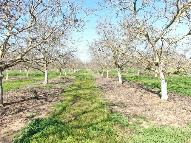 $1,500,000 | 12255 East 8 Mile Road, Stockton, CA 95212