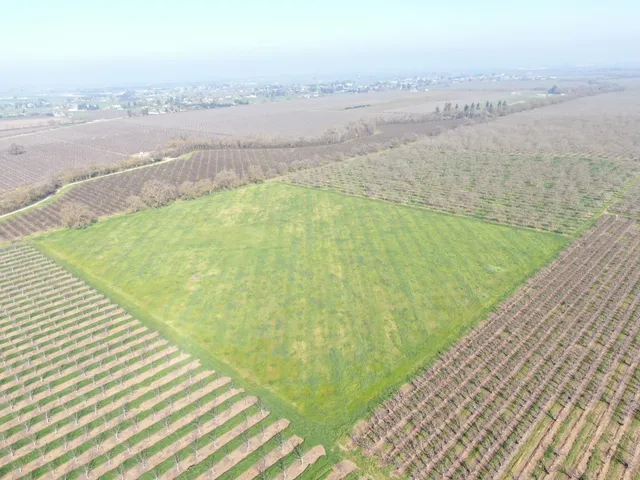 $1,500,000 | 12255 East 8 Mile Road, Stockton, CA 95212