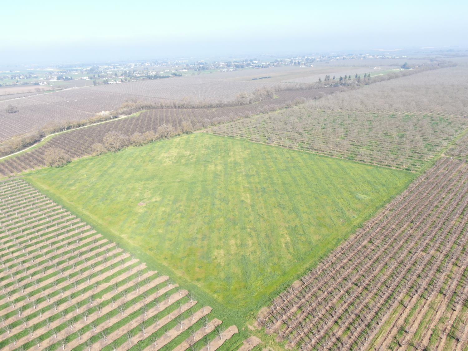 12255 East 8 Mile Road Stockton, CA 95212 - Photo 7 of 10