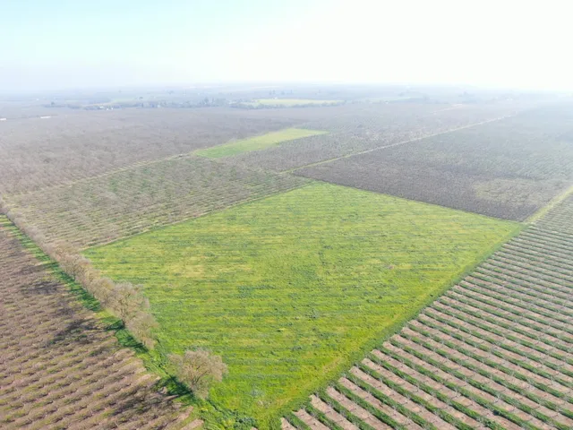 $1,500,000 | 12255 East 8 Mile Road, Stockton, CA 95212
