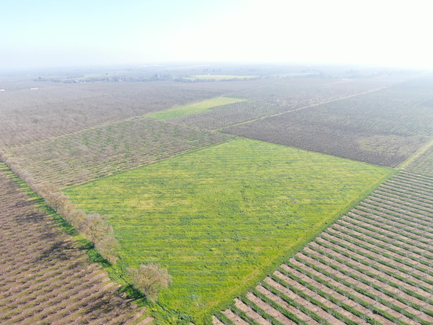 12255 East 8 Mile Road Stockton, CA 95212 - Photo 8 of 10