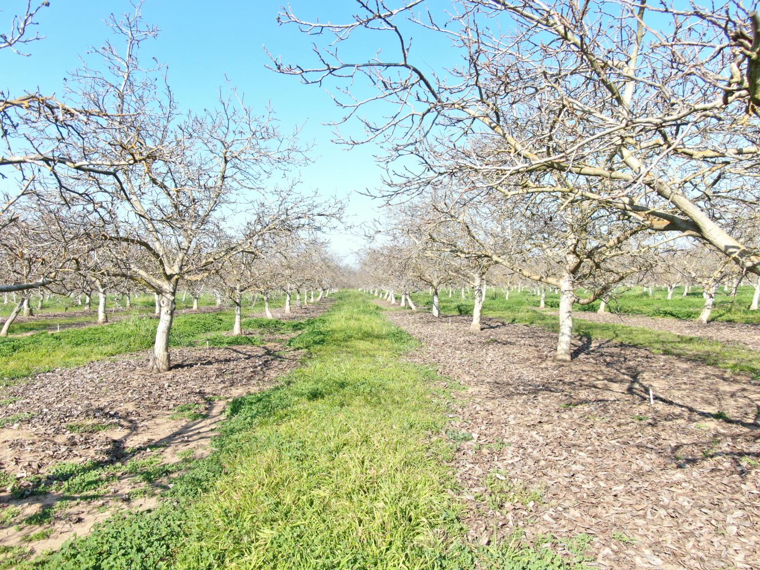 12255 East 8 Mile Road Stockton, CA 95212 - Photo 10 of 10