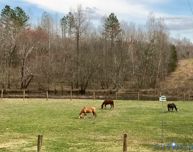 5001 Cartersville Road Powhatan, VA 23139 - Photo 12 of 19