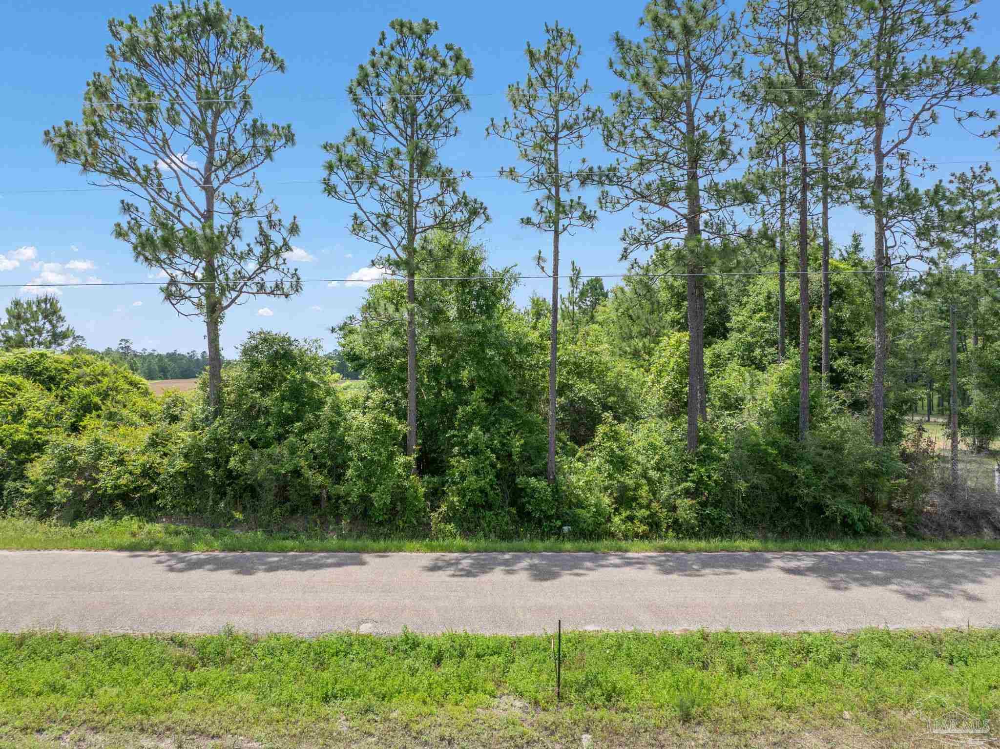 Lot 54 Mineral Springs Road Jay, FL 32565 - Photo 1 of 3