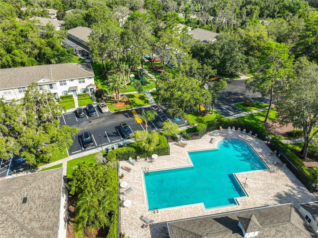 5717 Fishhawk Ridge Drive Lithia, FL 33547 - Photo 31 of 52