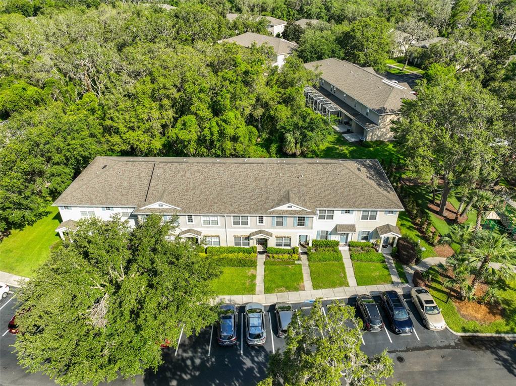 5717 Fishhawk Ridge Drive Lithia, FL 33547 - Photo 33 of 52