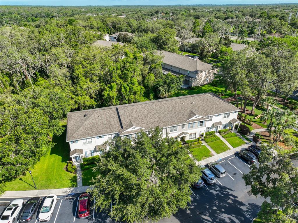 5717 Fishhawk Ridge Drive Lithia, FL 33547 - Photo 34 of 52