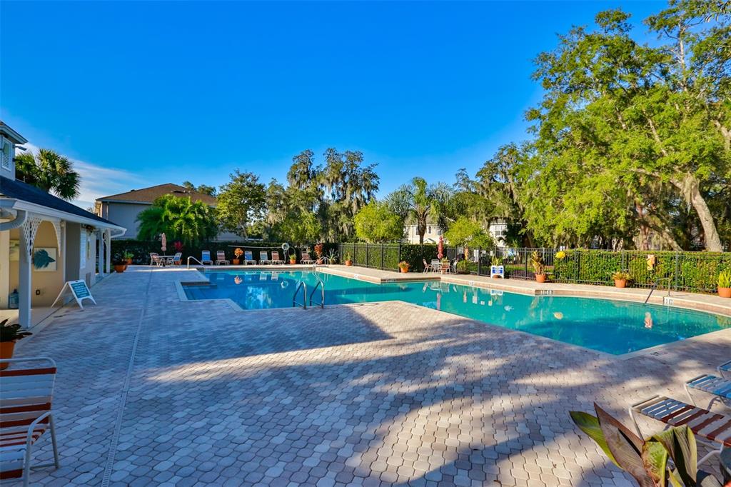 5717 Fishhawk Ridge Drive Lithia, FL 33547 - Photo 52 of 52