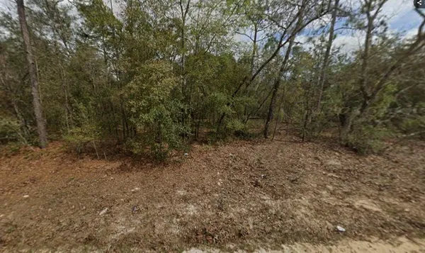 $14,000 | Lot 28 Janet Avenue, Interlachen, FL 32148