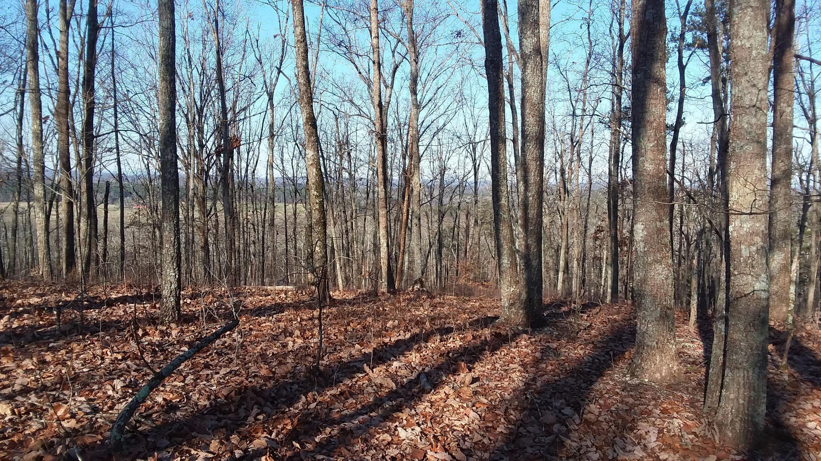 12922 Red Clay Road, Unit 2 Apison, TN 37302 - Photo 3 of 5 Red Clay
