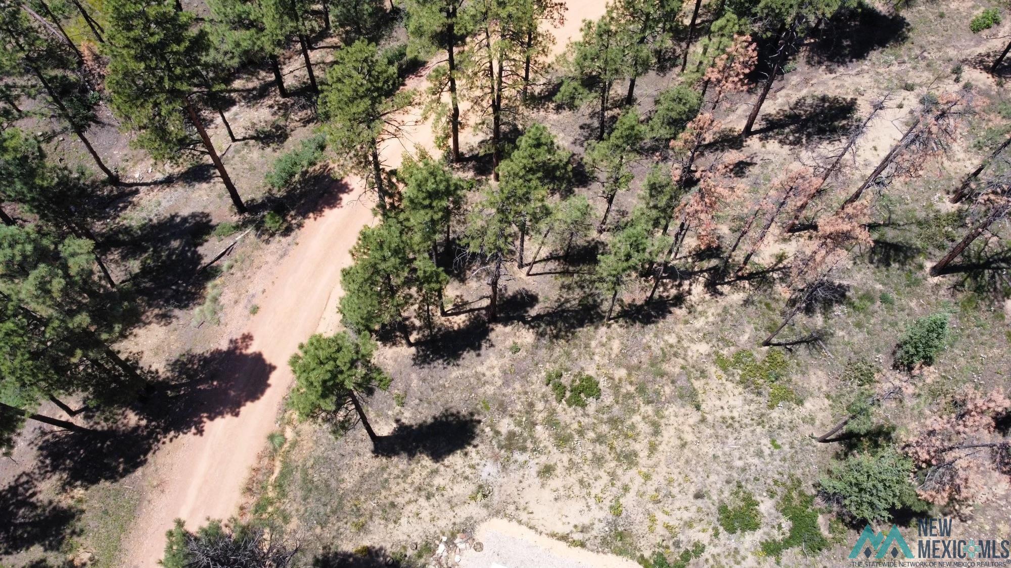 1 Blue Jay Road Rociada, NM 87742 - Photo 4 of 22