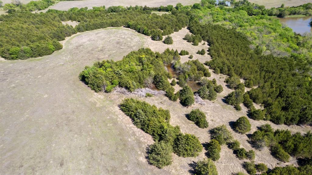 5020 County Road 5020 Road, Unit OF Blue Ridge, TX 75424 - Photo 7 of 17