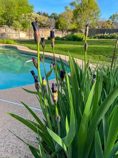 $640,000 | 7208 Tamarack Road, Benbrook, TX 76116