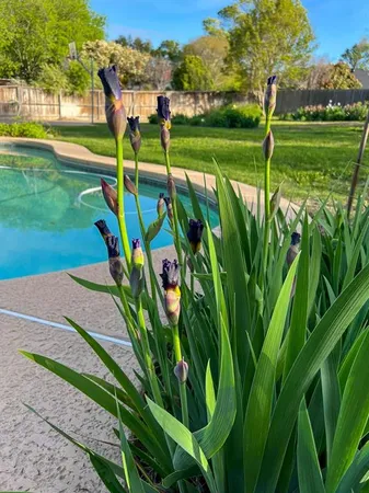 $640,000 | 7208 Tamarack Road, Benbrook, TX 76116