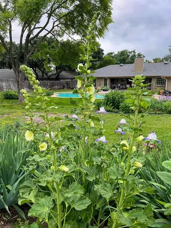 $640,000 | 7208 Tamarack Road, Benbrook, TX 76116