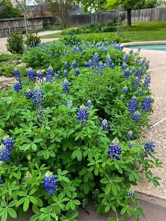 $640,000 | 7208 Tamarack Road, Benbrook, TX 76116