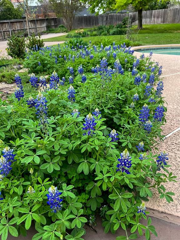 7208 Tamarack Road Benbrook, TX 76116 - Photo 36 of 39