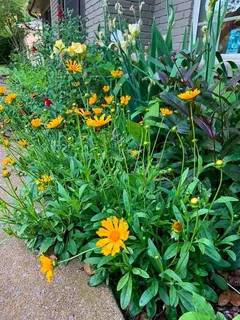 $640,000 | 7208 Tamarack Road, Benbrook, TX 76116