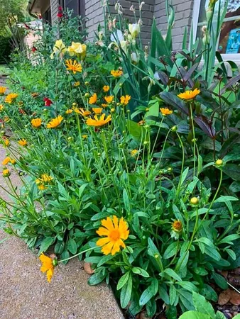 $640,000 | 7208 Tamarack Road, Benbrook, TX 76116