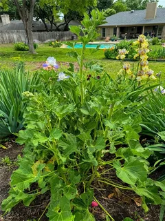 $640,000 | 7208 Tamarack Road, Benbrook, TX 76116