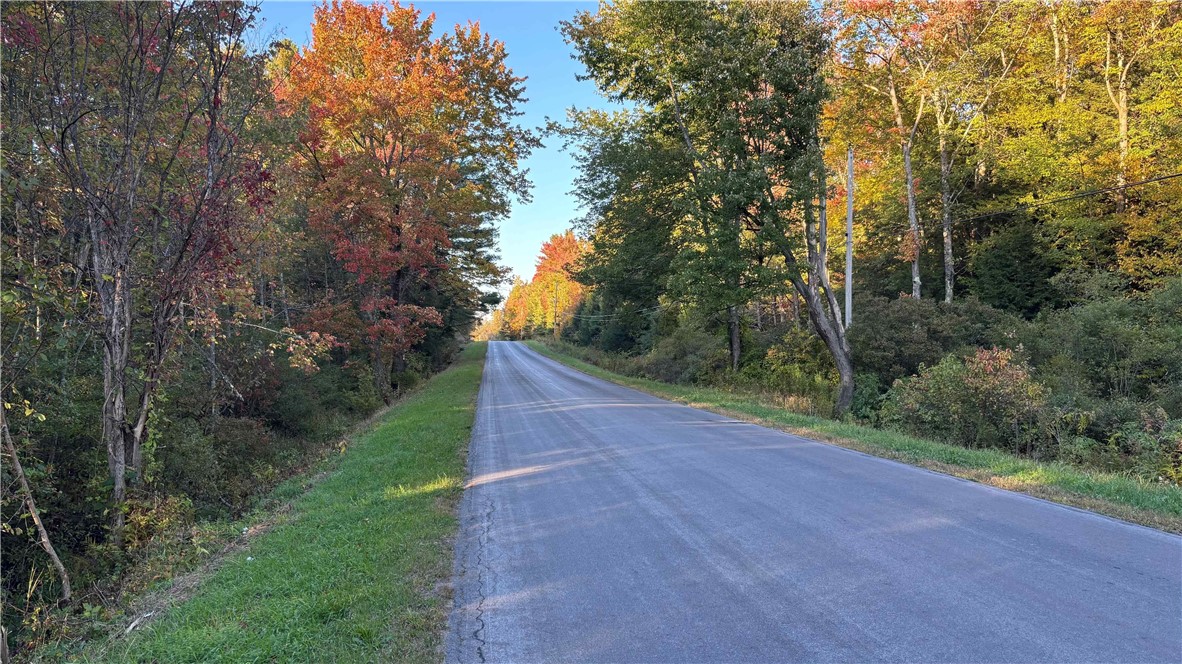 239 White Road Parish, NY 13131 - Photo 1 of 17