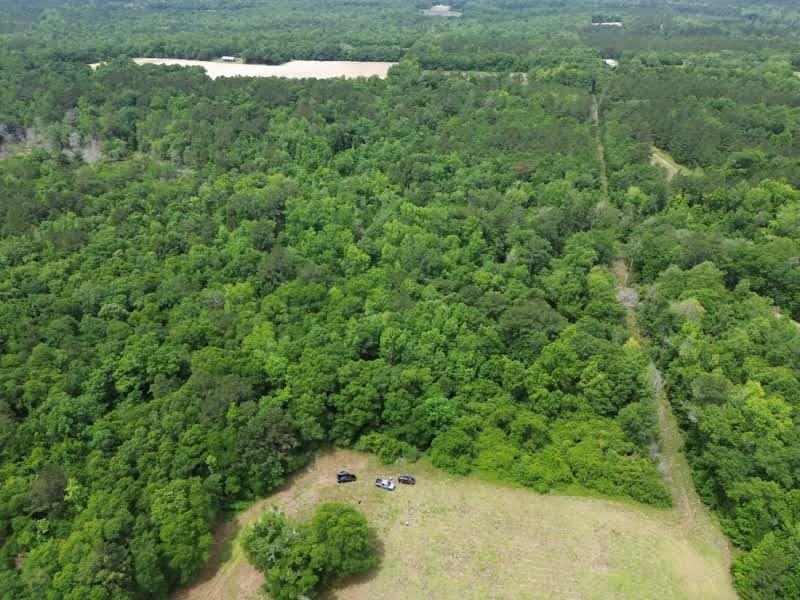 0 Bettstown Road Quincy, FL 32351 - Photo 2 of 2