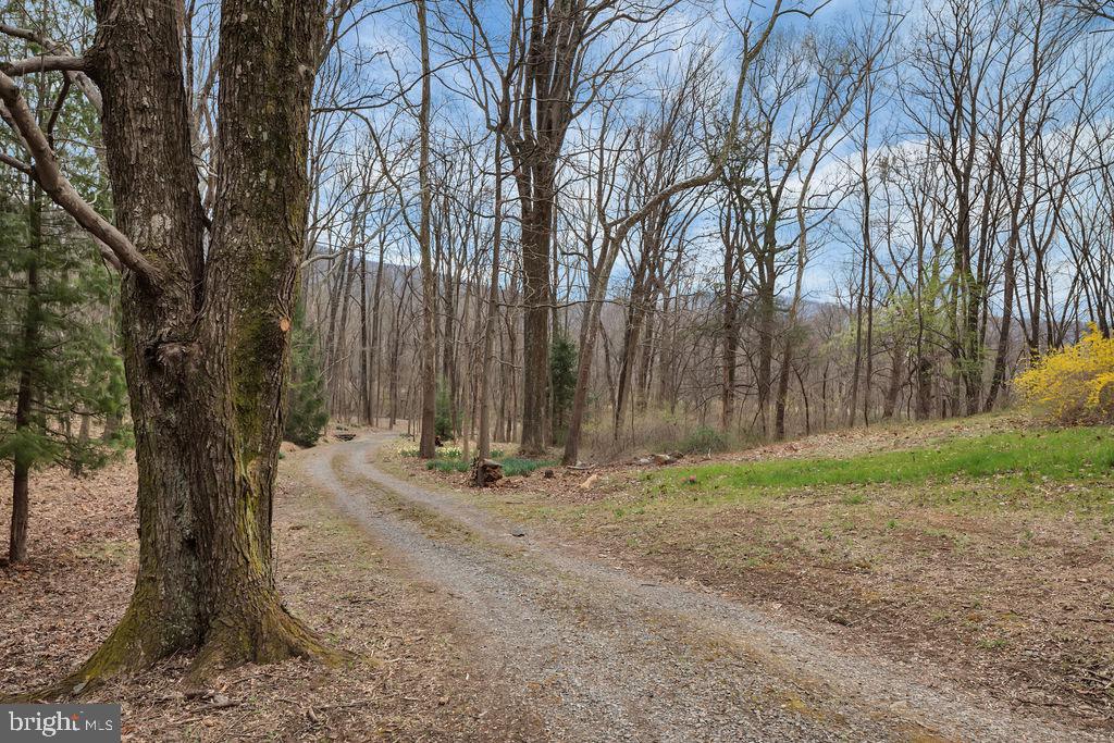 1493 Smith Run Road Bentonville, VA 22610 - Photo 3 of 40 View looking down the driveway at Smith Run Road.