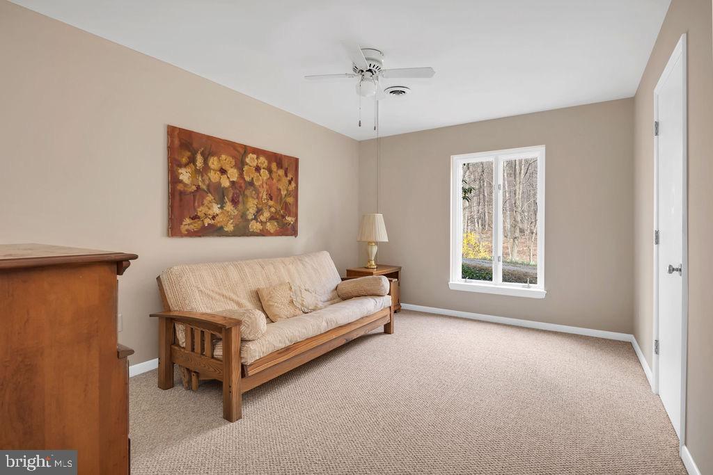 1493 Smith Run Road Bentonville, VA 22610 - Photo 31 of 40 Lower floor bedroom.