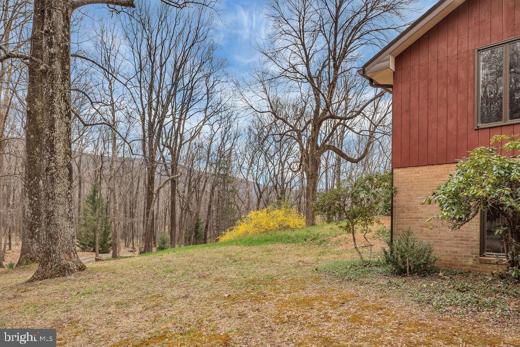 1493 Smith Run Road Bentonville, VA 22610 - Photo 7 of 40 Side yard.