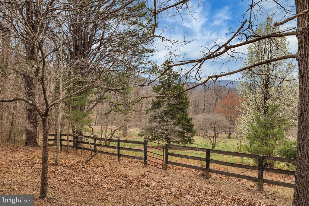 1493 Smith Run Road Bentonville, VA 22610 - Photo 8 of 40 View of the front yard of the home.