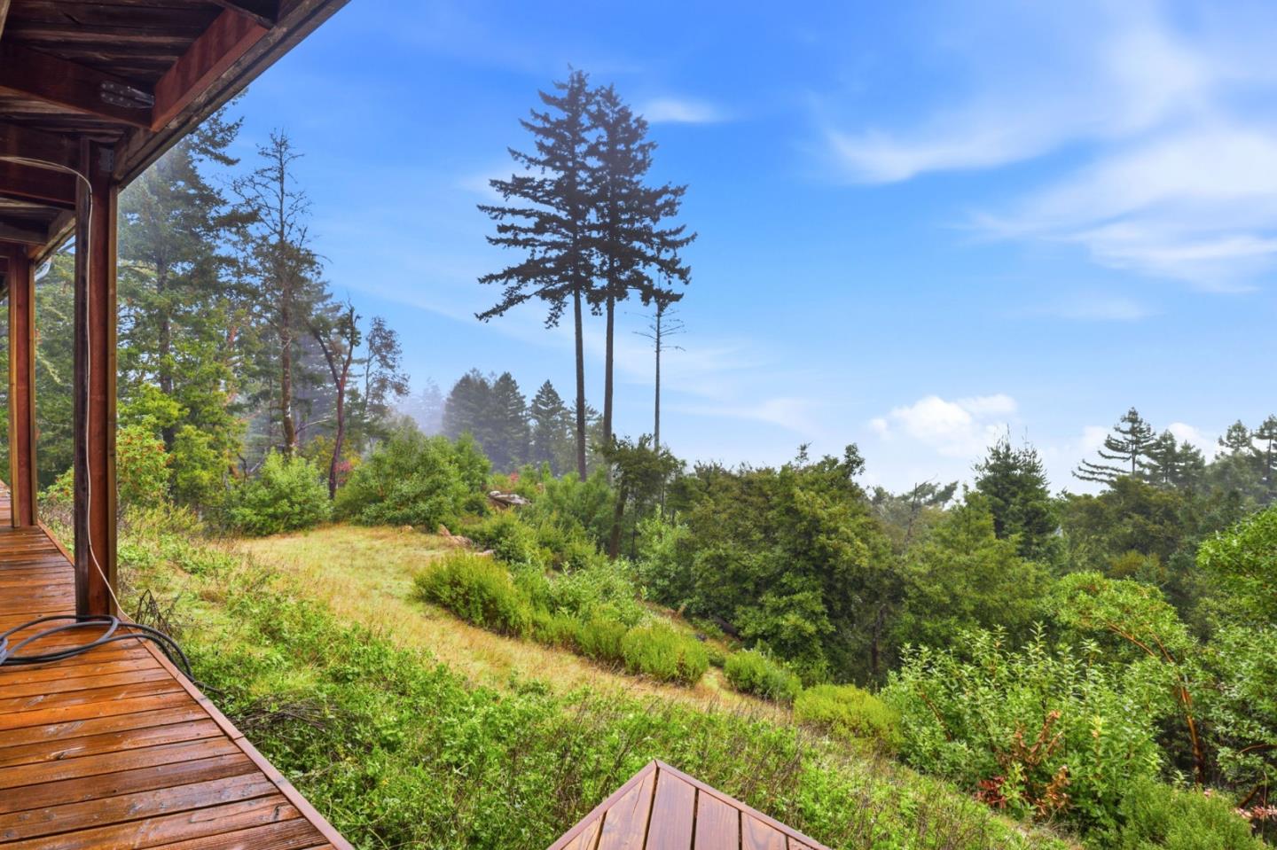 255 Allen Road Woodside, CA 94062 - Photo 39 of 42 a view of a backyard of the house