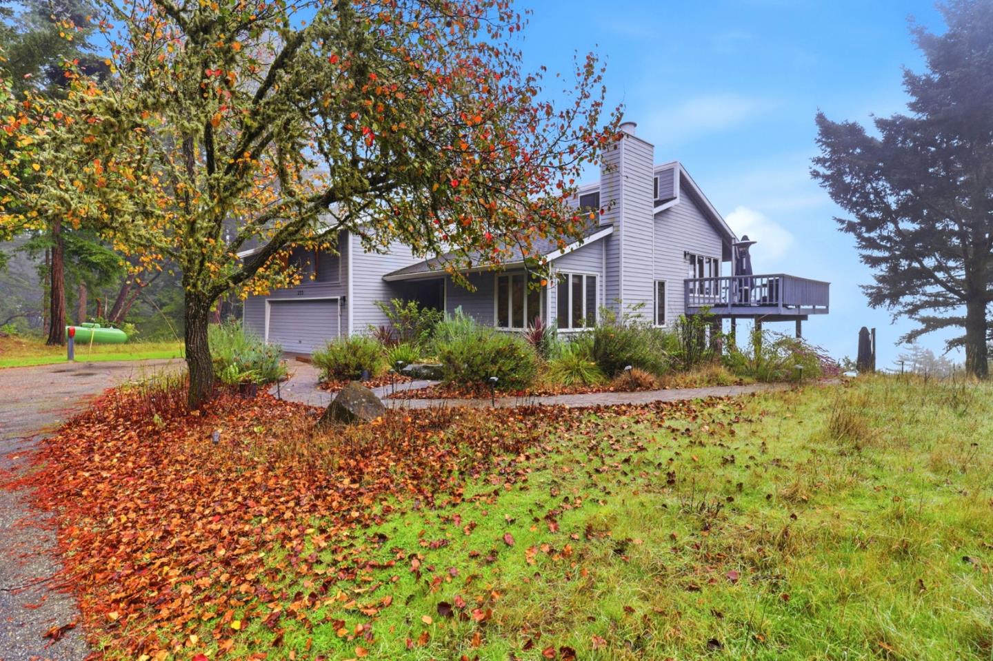 255 Allen Road Woodside, CA 94062 - Photo 40 of 42 a view of a house with a yard and large tree