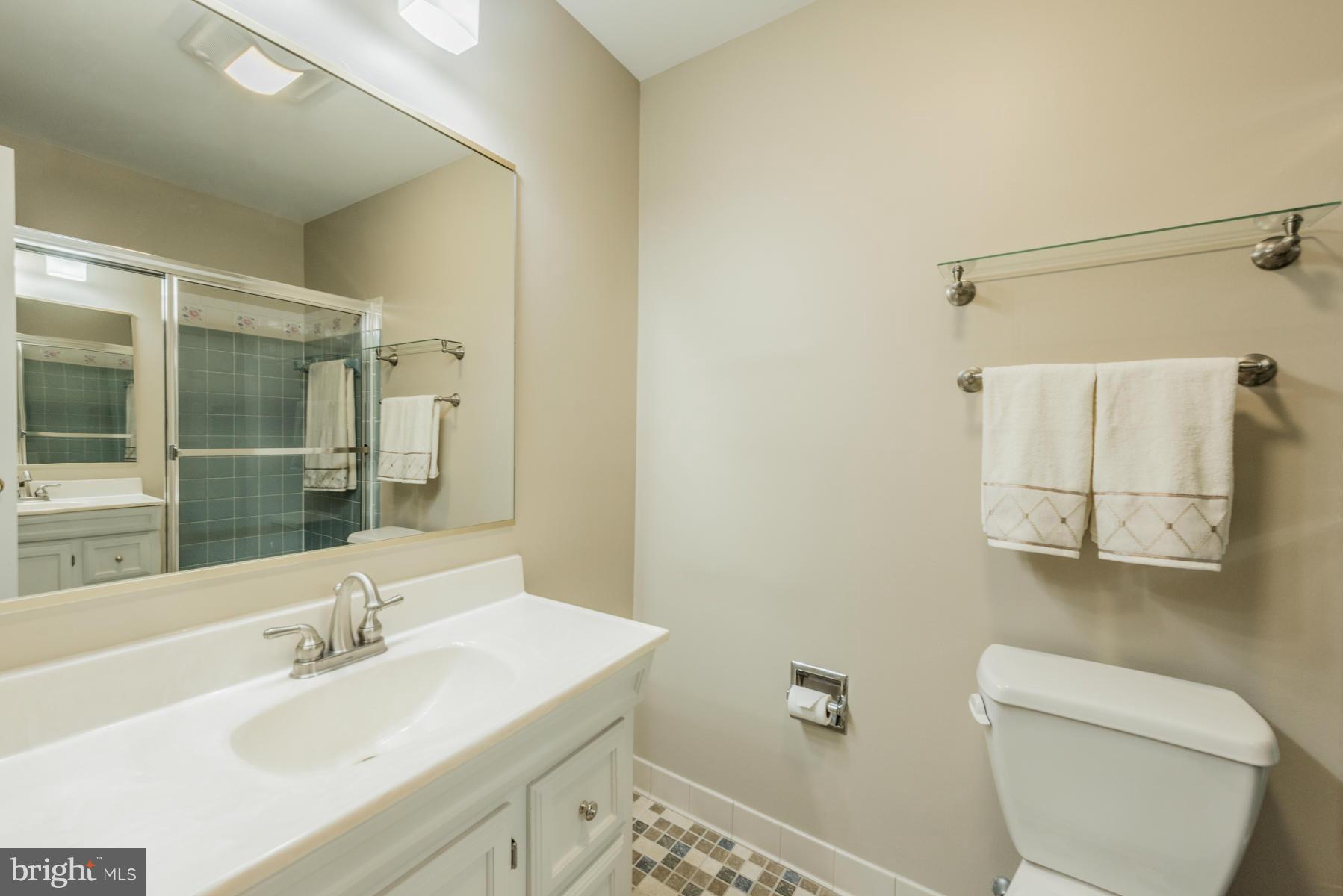 9466 Good Lion Road Columbia, MD 21045 - Photo 19 of 26 a bathroom with a sink a toilet and shower