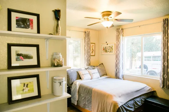 a bedroom with a bed a couch and a potted plant