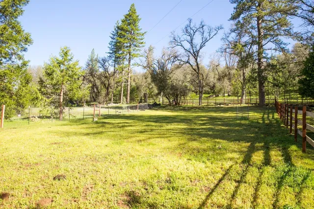 a view of swimming pool with a garden and trees